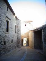 Didier JALABERT - DIDIER JALABERT